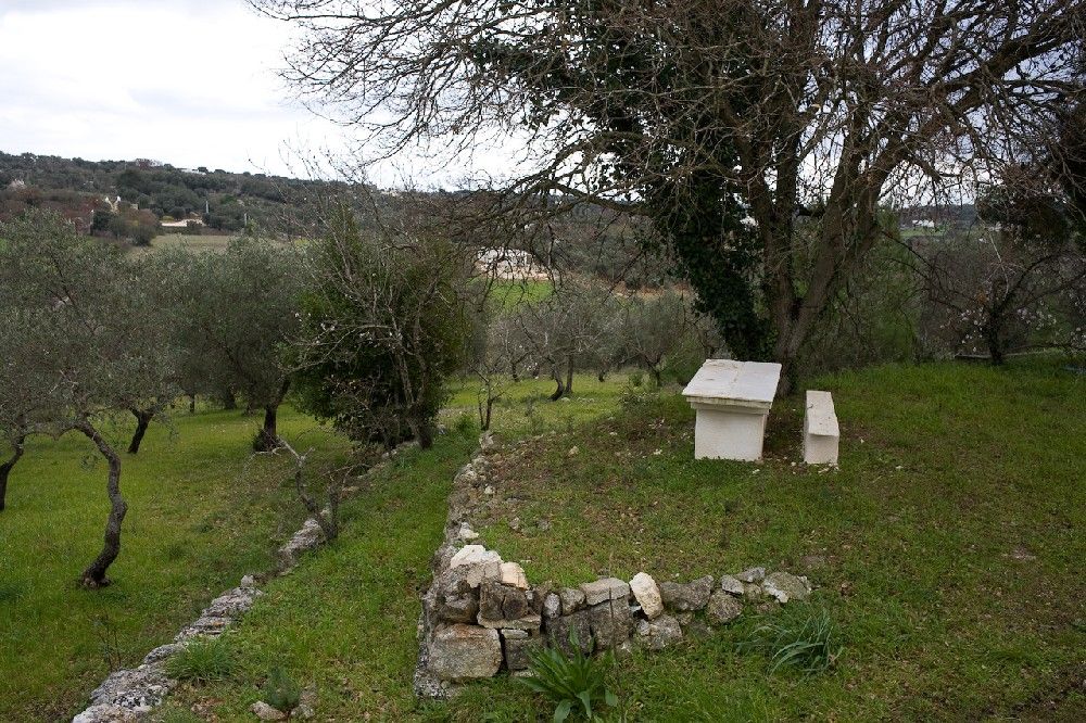 Casa rurale a Cervarolo - Ostuni - Cisternino