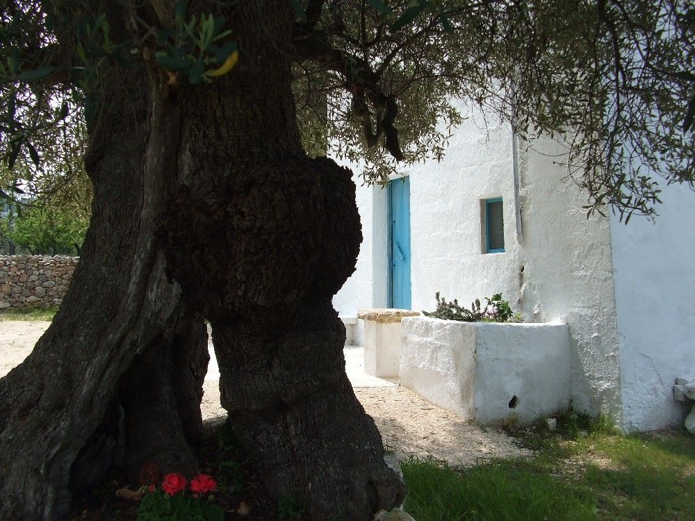 Ostuni - Lamia - Casa rurale