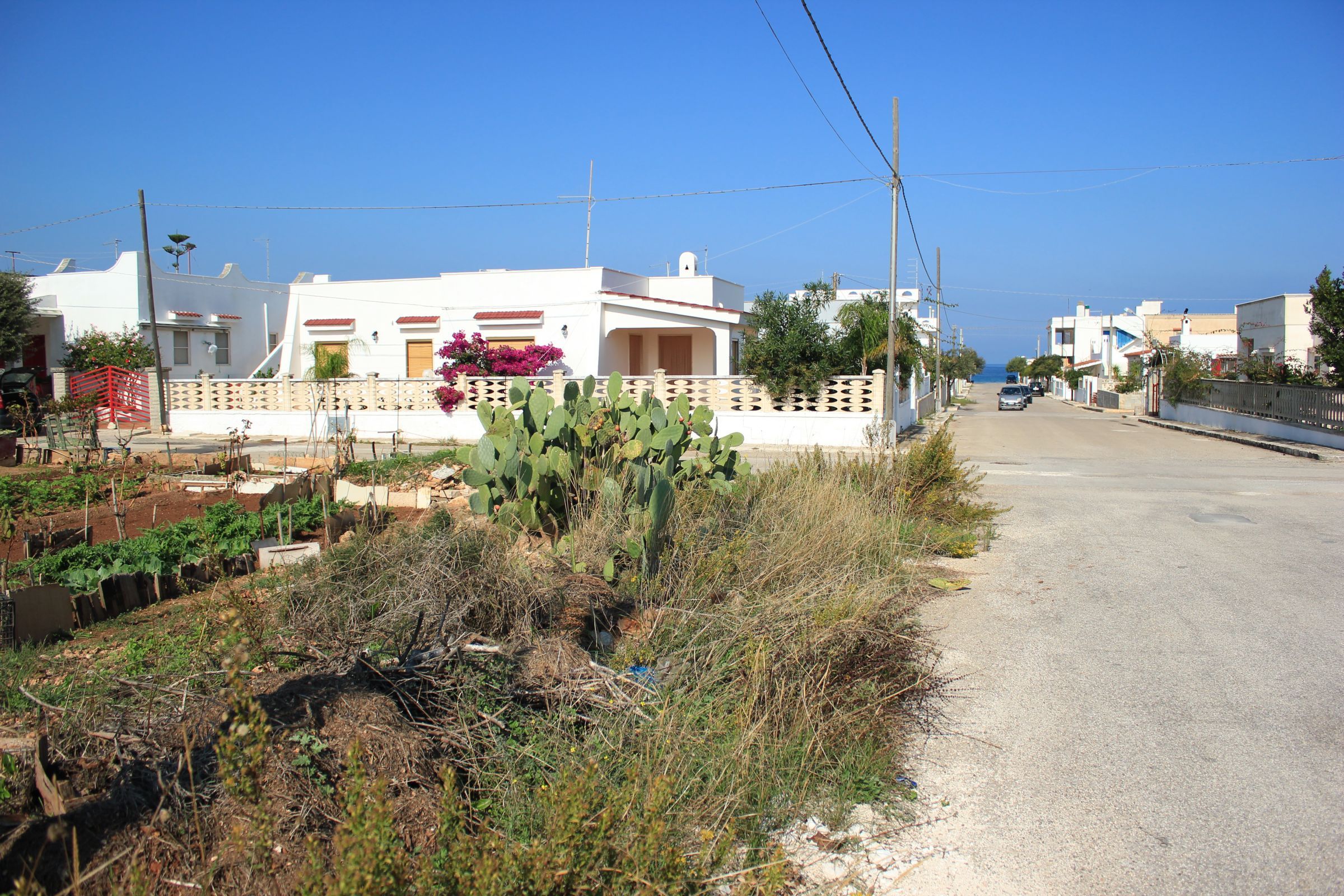 ostuni - mare - terreno - land for sale