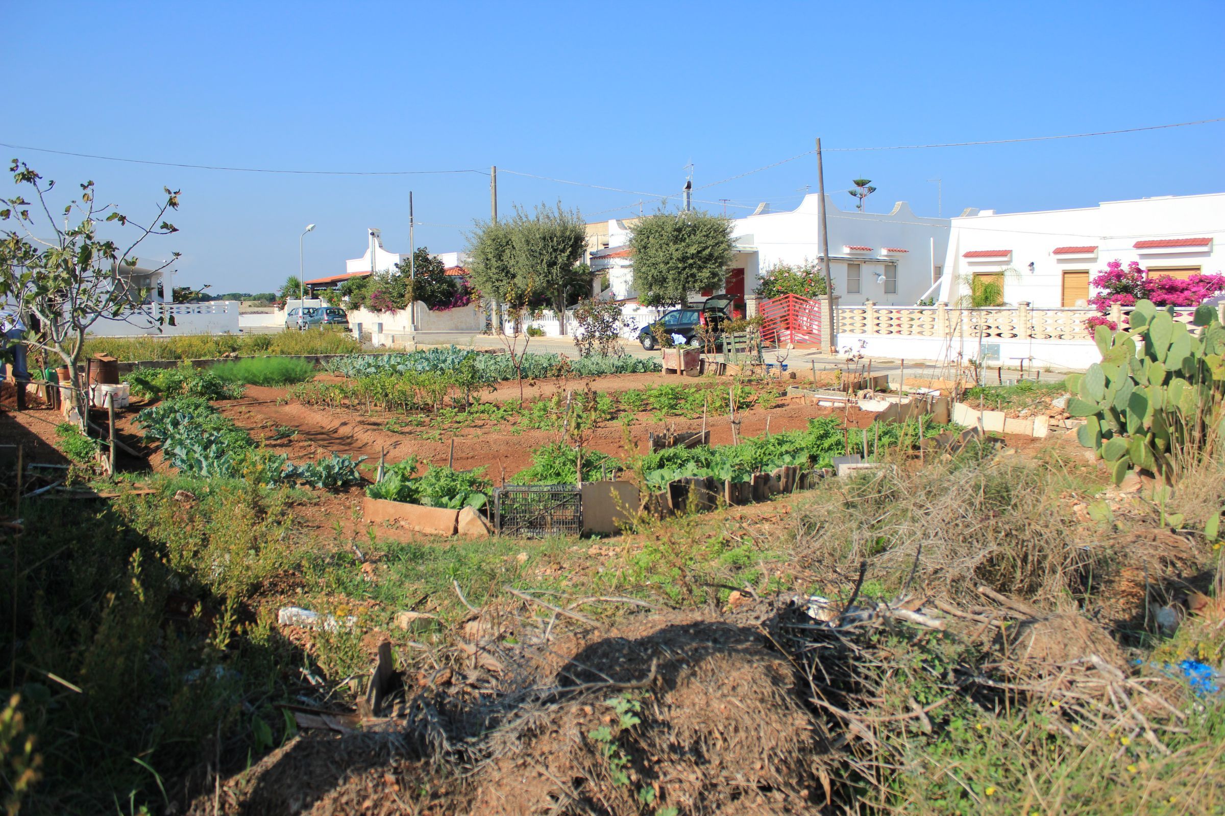 ostuni - mare - terreno - land for sale