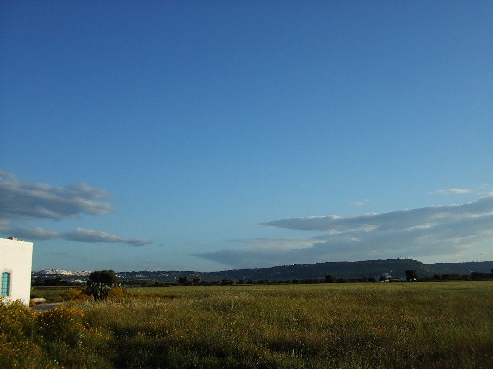 Ostuni-Masseria-vacanze-locazione