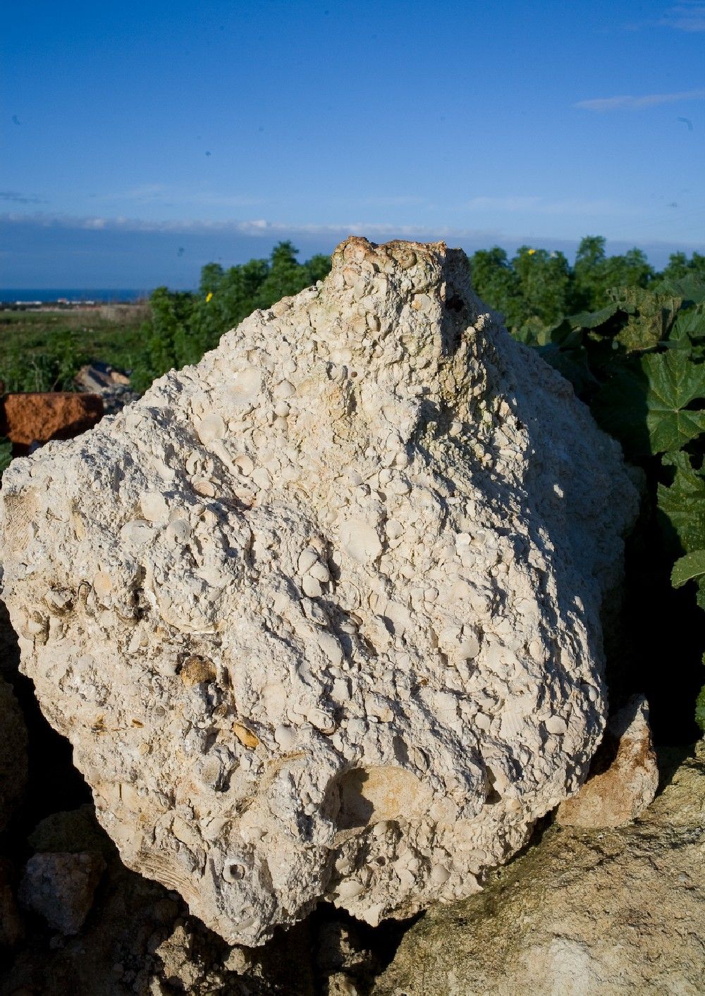 Ostuni-Masseria-vacanze-locazione